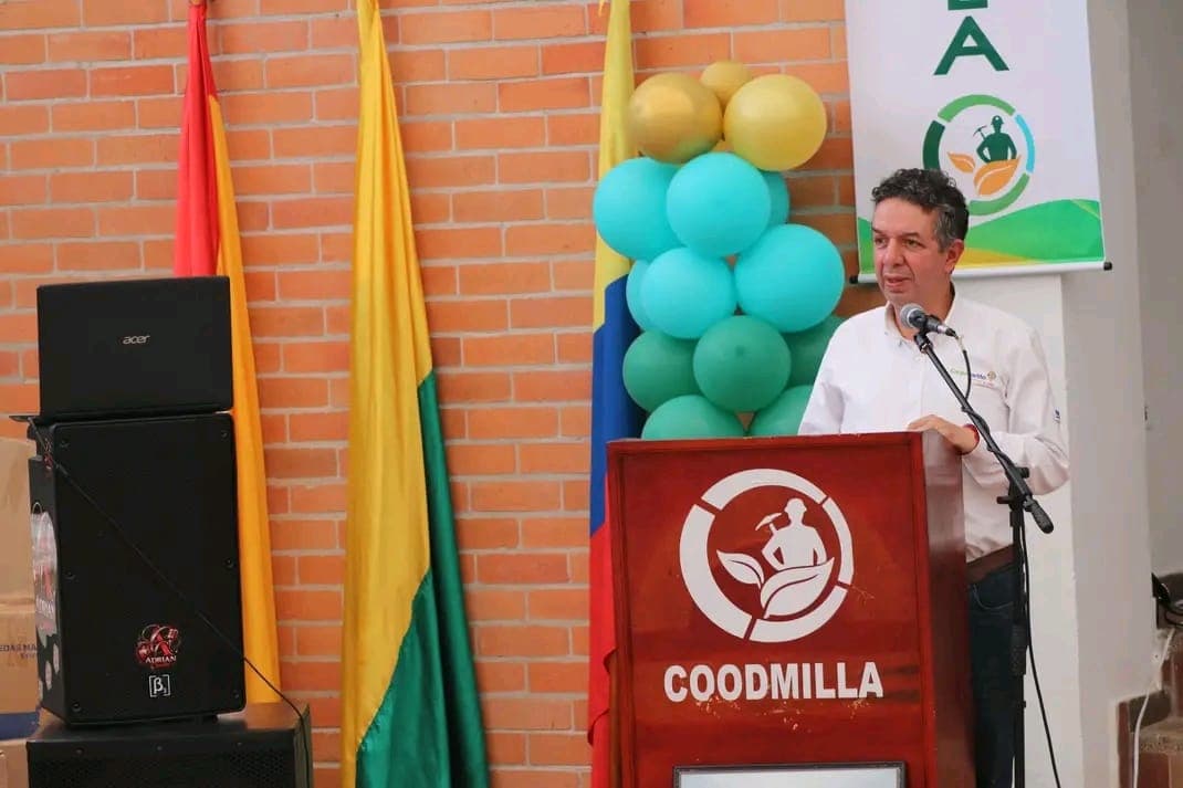 Imagen 7